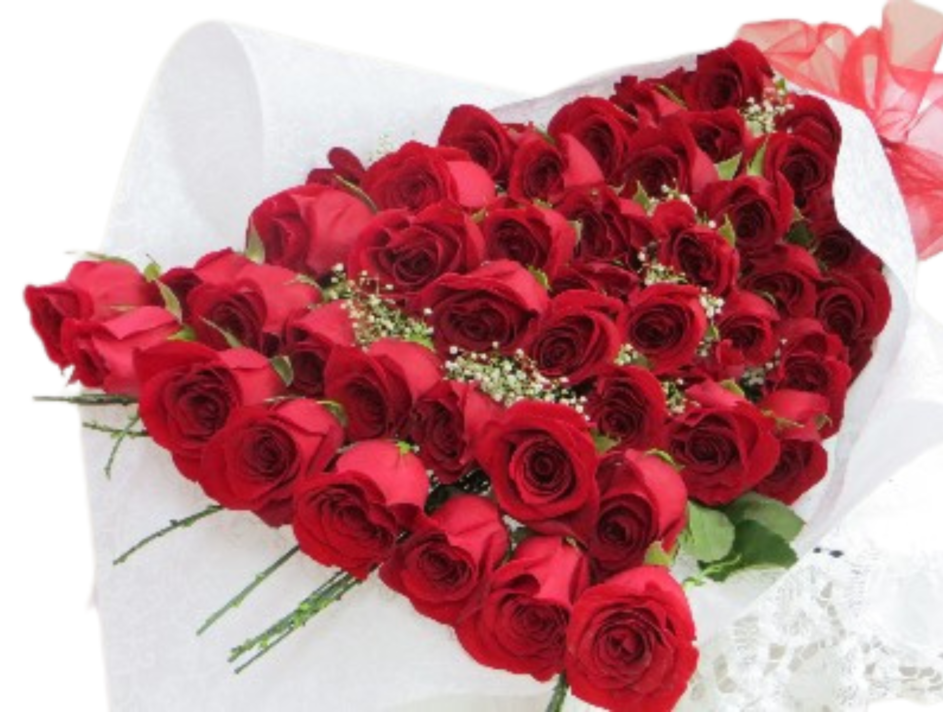 Bouquet 50 rosas ecuatorianas | Regala Cariño y Afecto a esa persona que amas