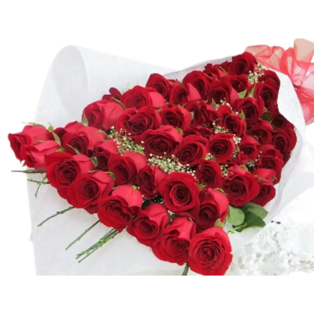 Bouquet 50 rosas ecuatorianas | Regala Cariño y Afecto a esa persona que amas 1