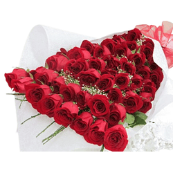 Bouquet 50 rosas ecuatorianas | Regala Cariño y Afecto a esa persona que amas