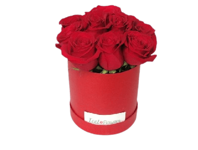 12 Rosas en caja redonda  | Entrega Elegancia y Delicadeza