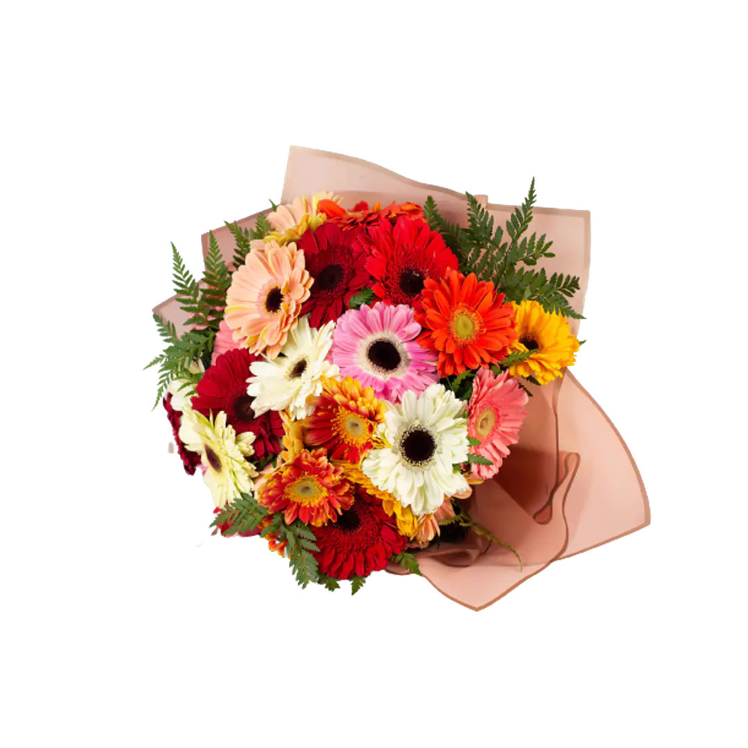 Ramo de 20 gerberas | Expresa Alegría y Entusiasmo  1
