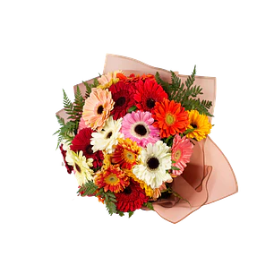 Ramo de 20 gerberas | Expresa Alegría y Entusiasmo 
