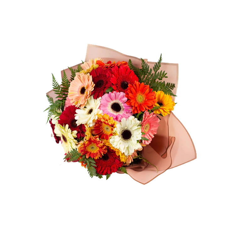 Ramo de 20 gerberas | Expresa Alegría y Entusiasmo  1