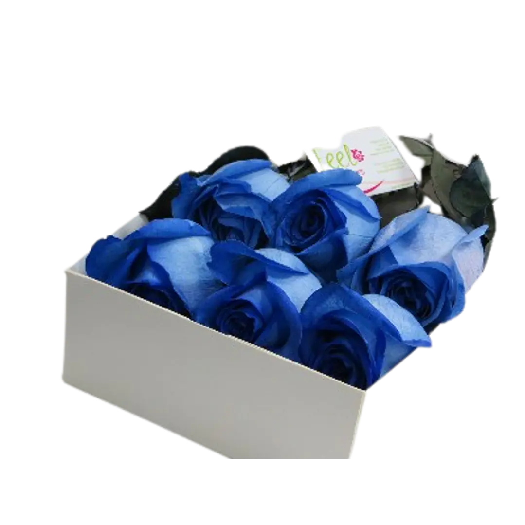 Caja de 6 rosas azules | Envía Gratitud y Amor a una persona especial 1