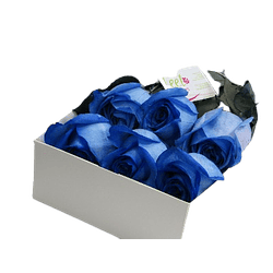 Caja de 6 rosas azules | Envía Gratitud y Amor a una persona especial
