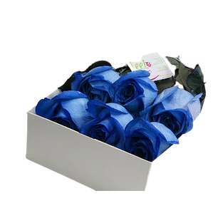 Caja de 6 rosas azules | Envía Gratitud y Amor a una persona especial