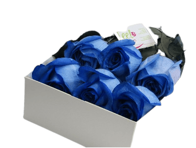 Caja Rosas Azules | Envía Gratitud y Amor | Feel Flowers | Feel Flowers