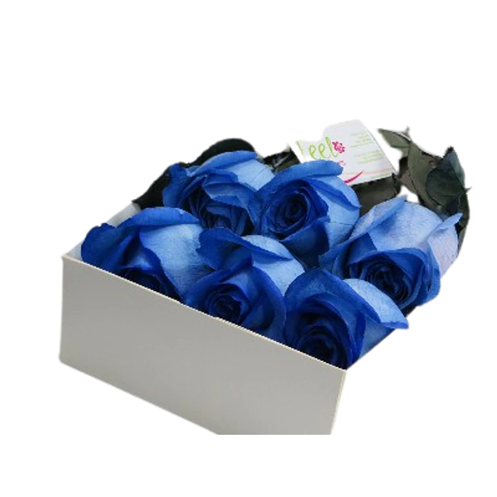 Caja de 6 rosas azules | Envía Gratitud y Amor a una persona especial 1