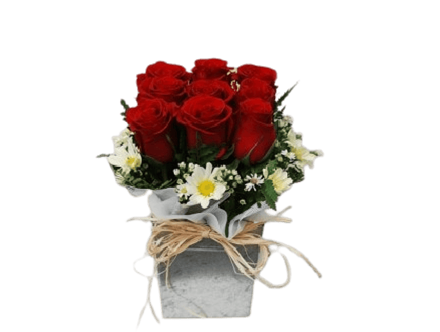 9 rosas en base hojalata | Regala Belleza y Amor