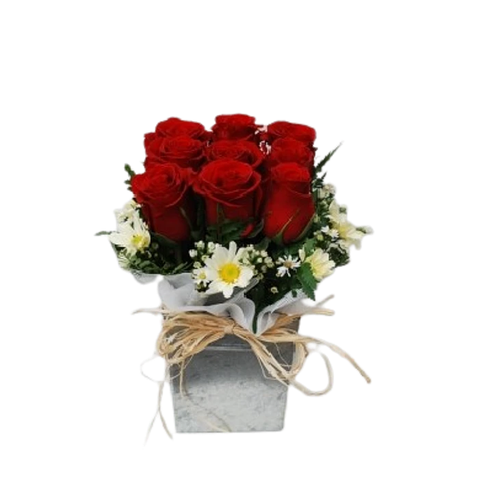 9 rosas en base hojalata | Regala Belleza y Amor 1