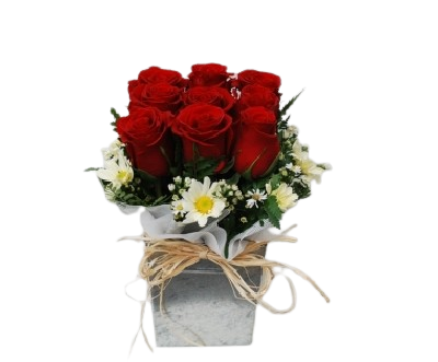 9 rosas en base hojalata | Regala Belleza y Amor