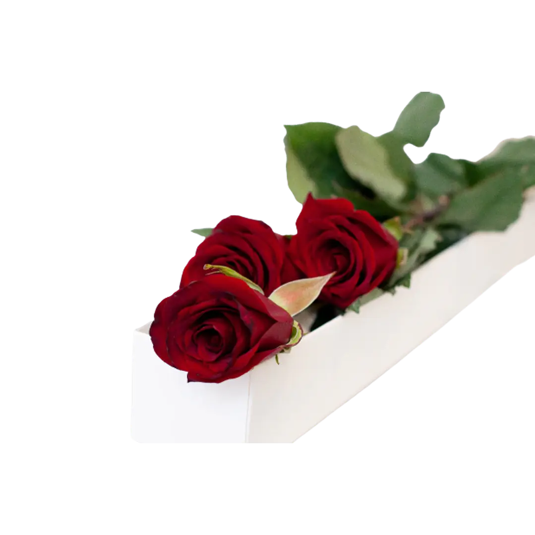 Caja de 3 rosas ecuatorianas | Regala Amor Elegante 1
