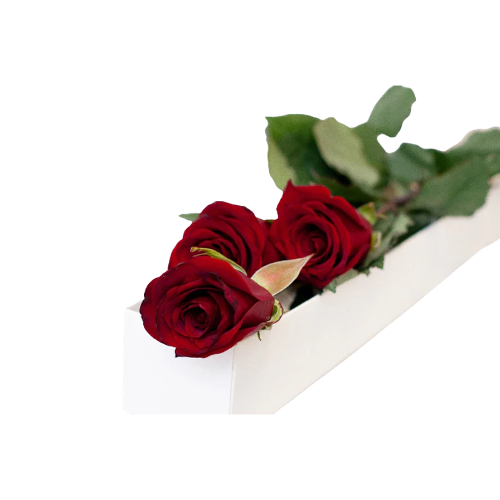 Caja de 3 rosas ecuatorianas | Regala Amor Elegante 1