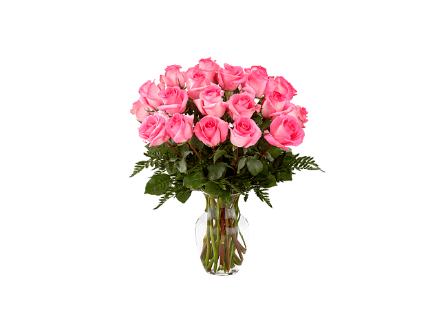 Florero de 30 rosas | Regala Elegancia Floral