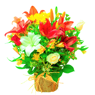 Arreglo floral mixto en base rústica