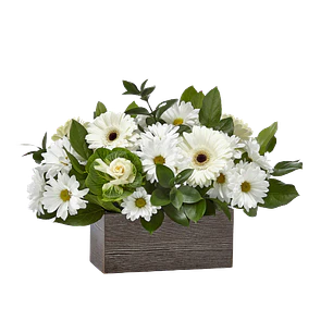 Gerberas y maules en base madera