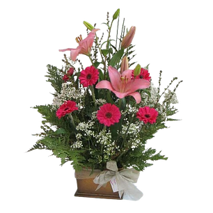 Mixto en base café moro