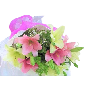 Ramo de liliums bicolor | Expresa la Armonía Natural