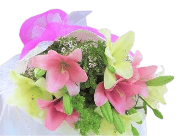 Ramo de liliums bicolor | Expresa la Armonía Natural