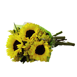 Ramo de 5 girasoles y solidago | Regala Alegría 