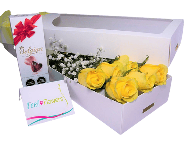 Caja de 6 Rosas y chocolates Belgian | Regala Caja de Felicidad