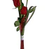 Florero 3 Rosas Ecuatorianas