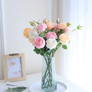 Suscripción Mensual