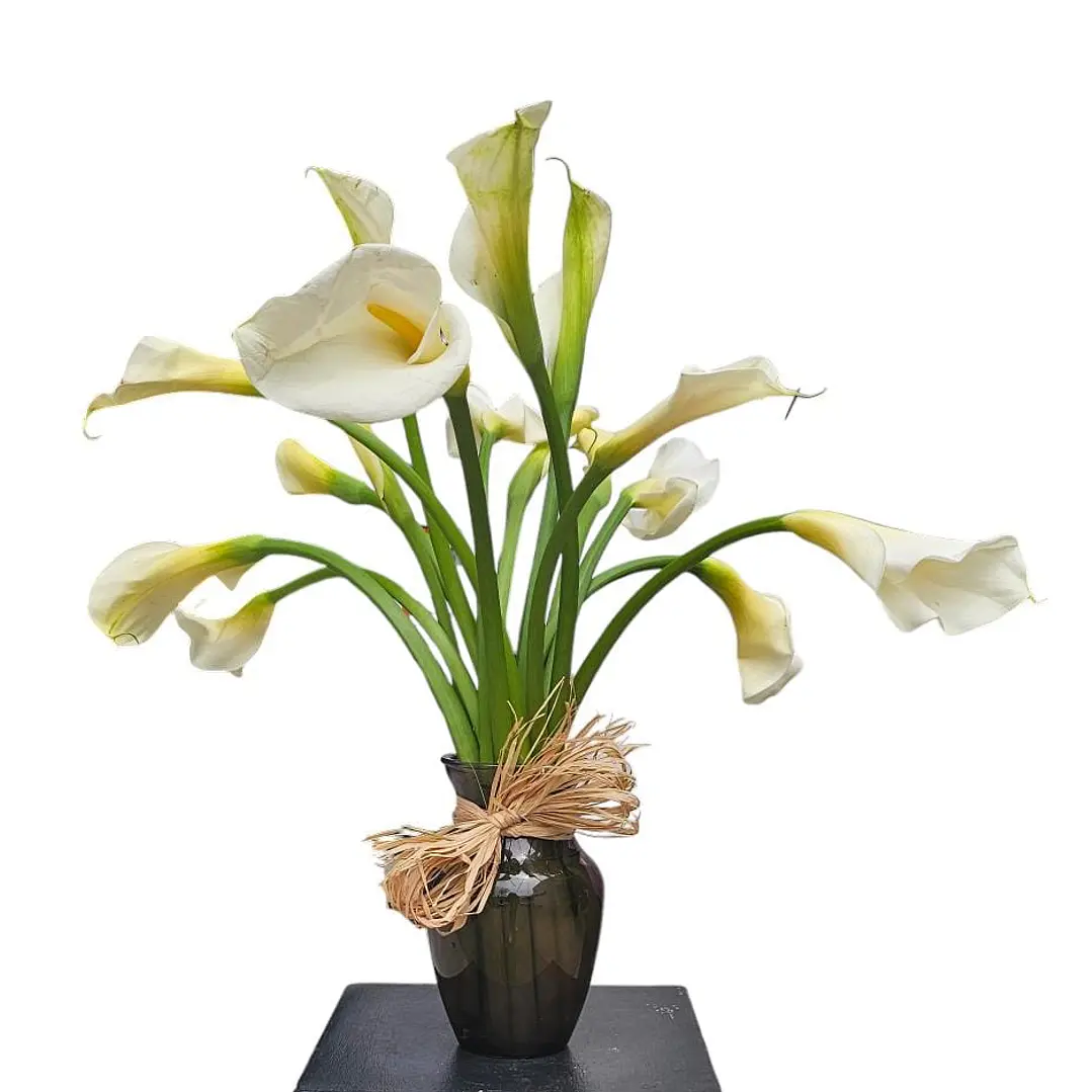 Florero de 15 Calas blancas 1