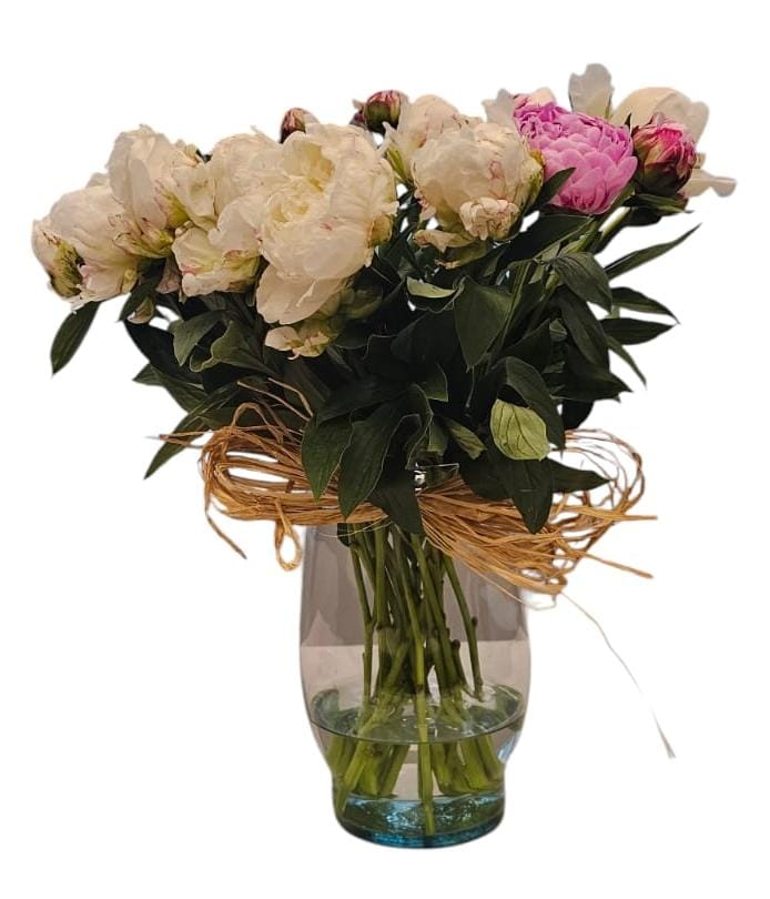 Florero de 10 Peonías