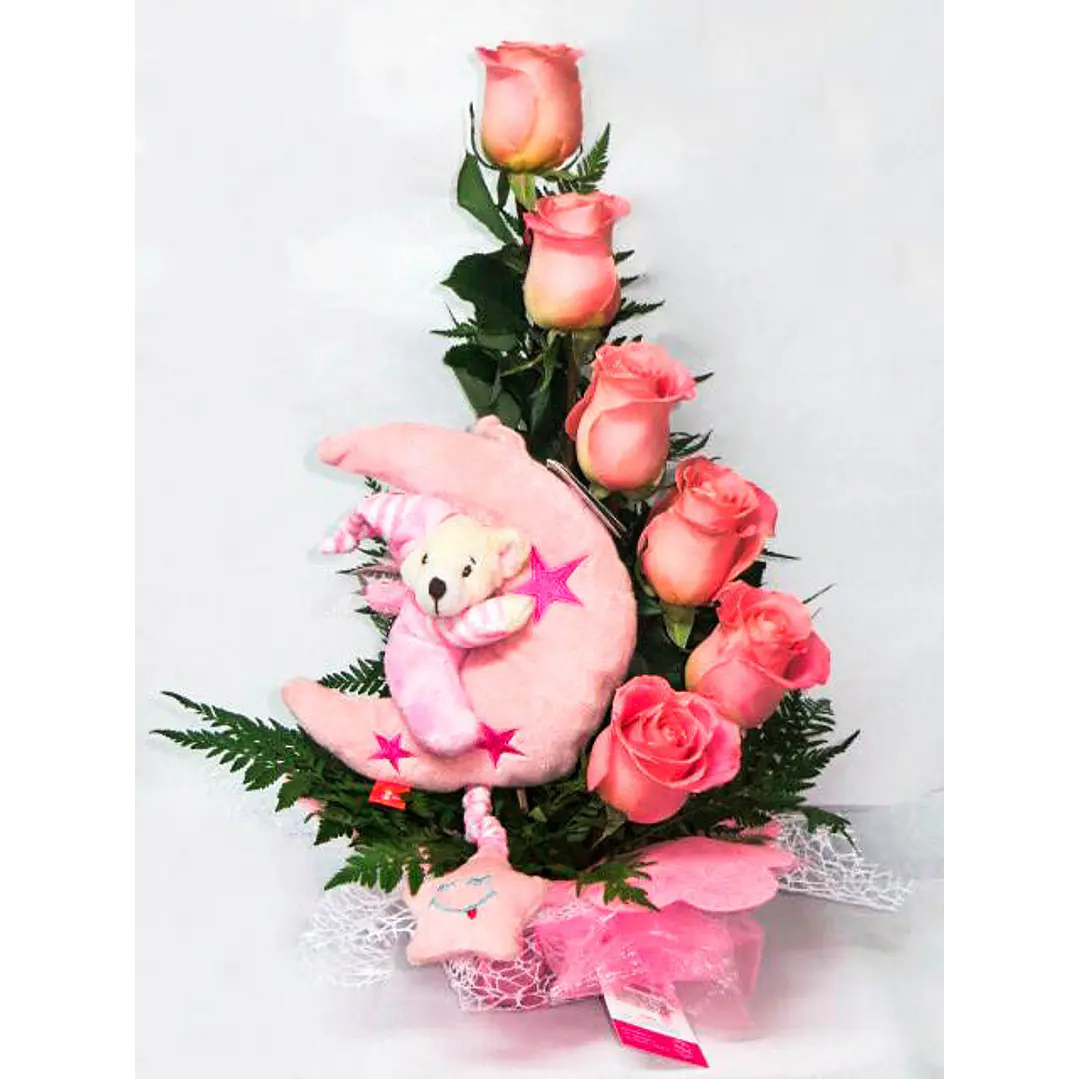 6 Rosas y Peluche 1