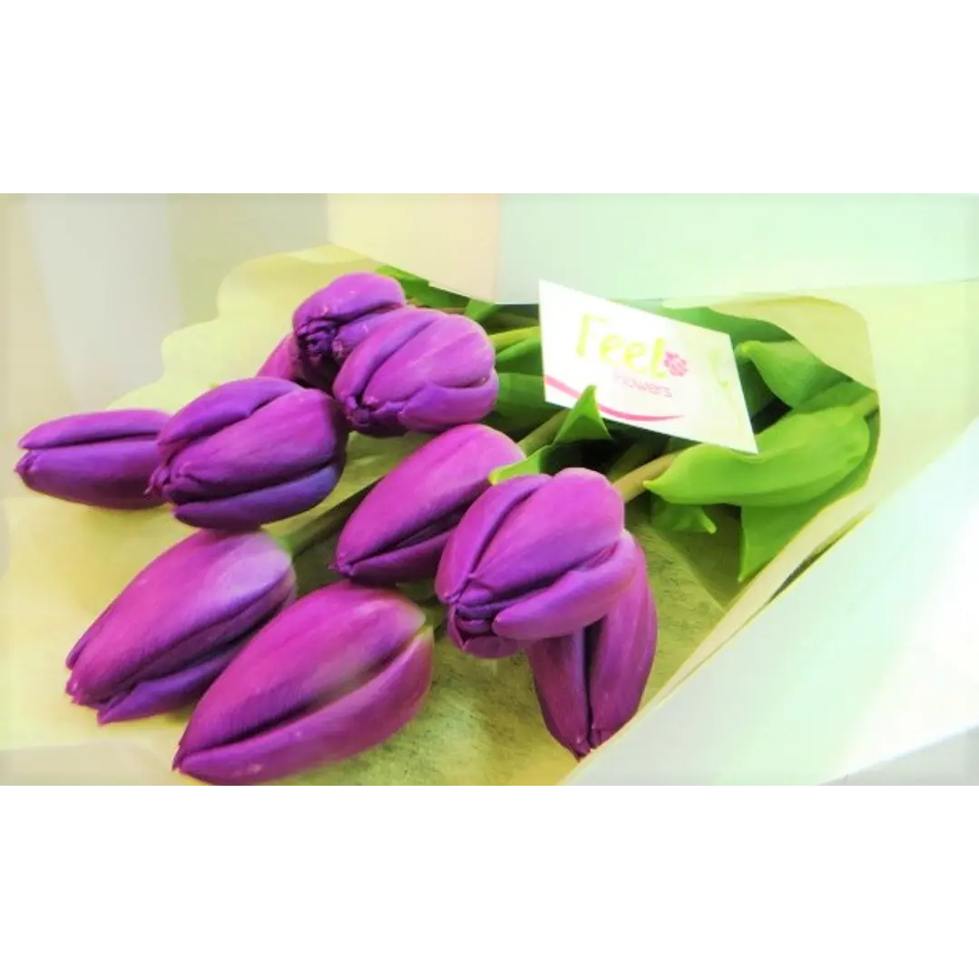 Caja de 10 tulipanes 1
