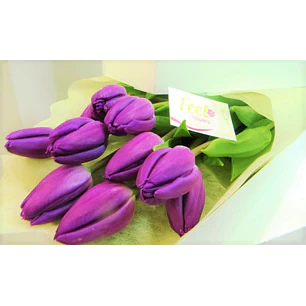 Caja de 10 tulipanes