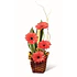 Gerberas en base ratán | Envía Belleza y Color