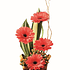 Gerberas en base ratán | Envía Belleza y Color