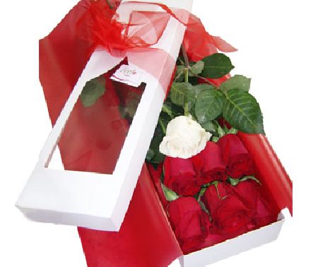Caja de 7 rosas ecuatorianas  | Demuestra Amor y Respeto