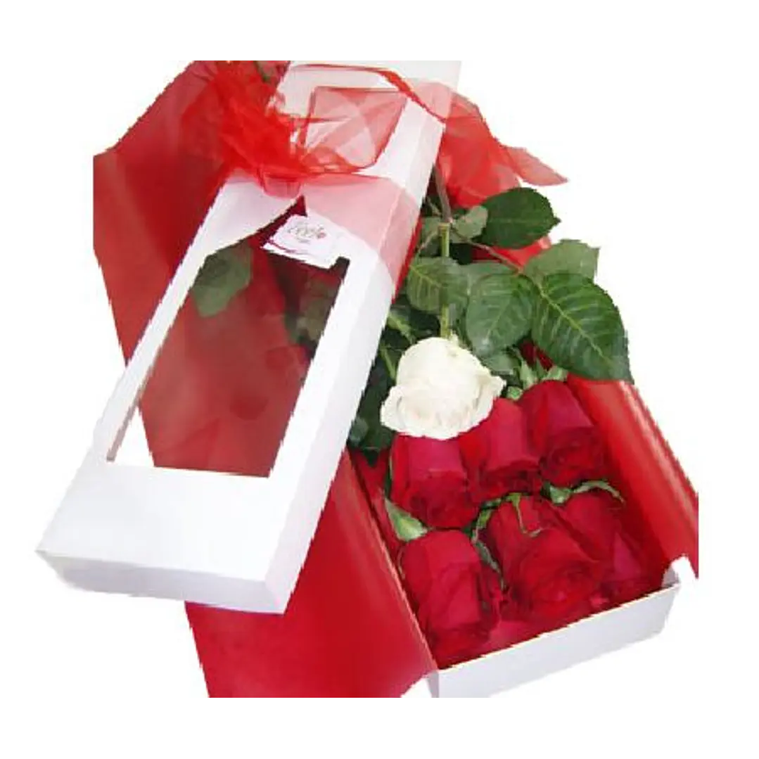 Caja de 7 rosas ecuatorianas  | Demuestra Amor y Respeto 1