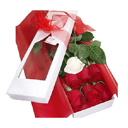 Caja de 7 rosas ecuatorianas  | Demuestra Amor y Respeto
