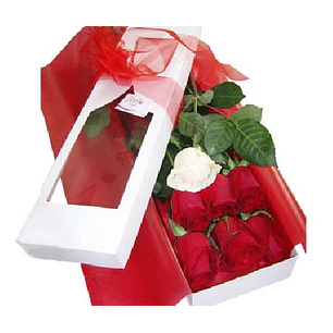 Caja de 7 rosas ecuatorianas  | Demuestra Amor y Respeto