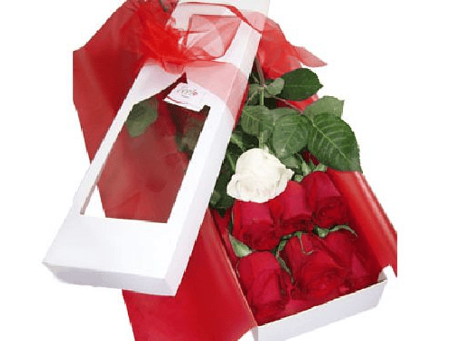 Caja de 7 rosas ecuatorianas  | Demuestra Amor y Respeto