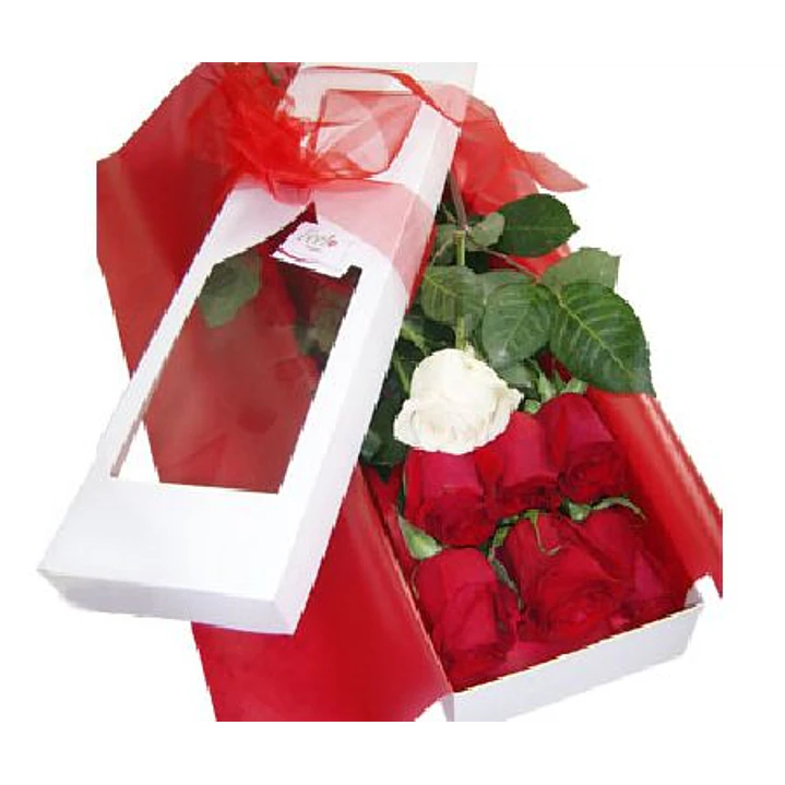 Caja de 7 rosas ecuatorianas  | Demuestra Amor y Respeto 1