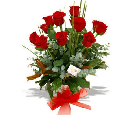 Arreglo de 12 rosas | Regala Amor y Consideración a tu pareja