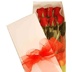 Caja de 6 rosas variedad de colores  | Sorprende con Amor y Admiración 