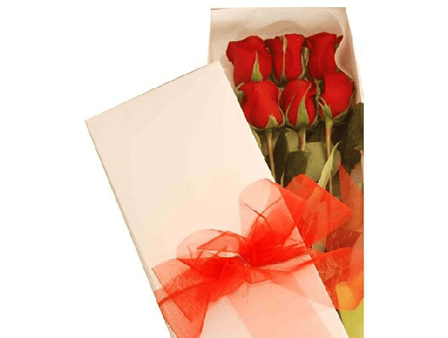 Caja de 6 rosas variedad de colores  | Sorprende con Amor y Admiración 