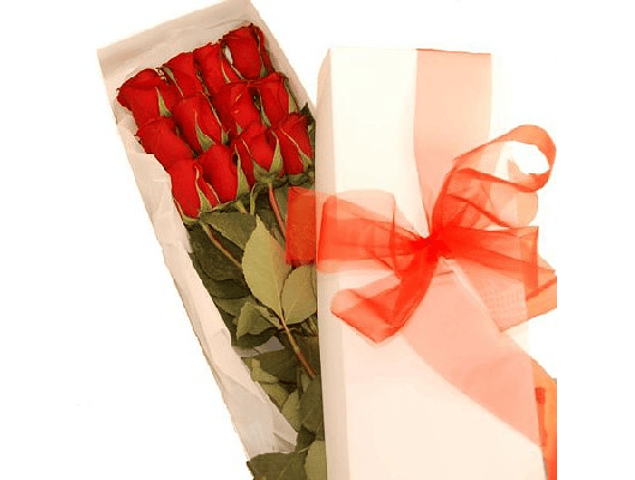 Caja de 12 rosas | Regala amor y cariño a esa persona especial 