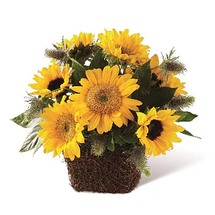 Girasoles en canasta de ratán