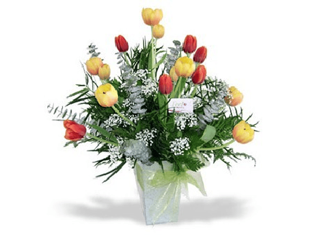 12 tulipanes en arreglo floral | Feel Flowers | Feel Flowers