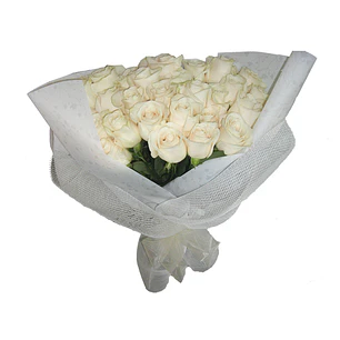 Ramo de 30 rosas ecuatorianas | Sorprende con Pureza Floral