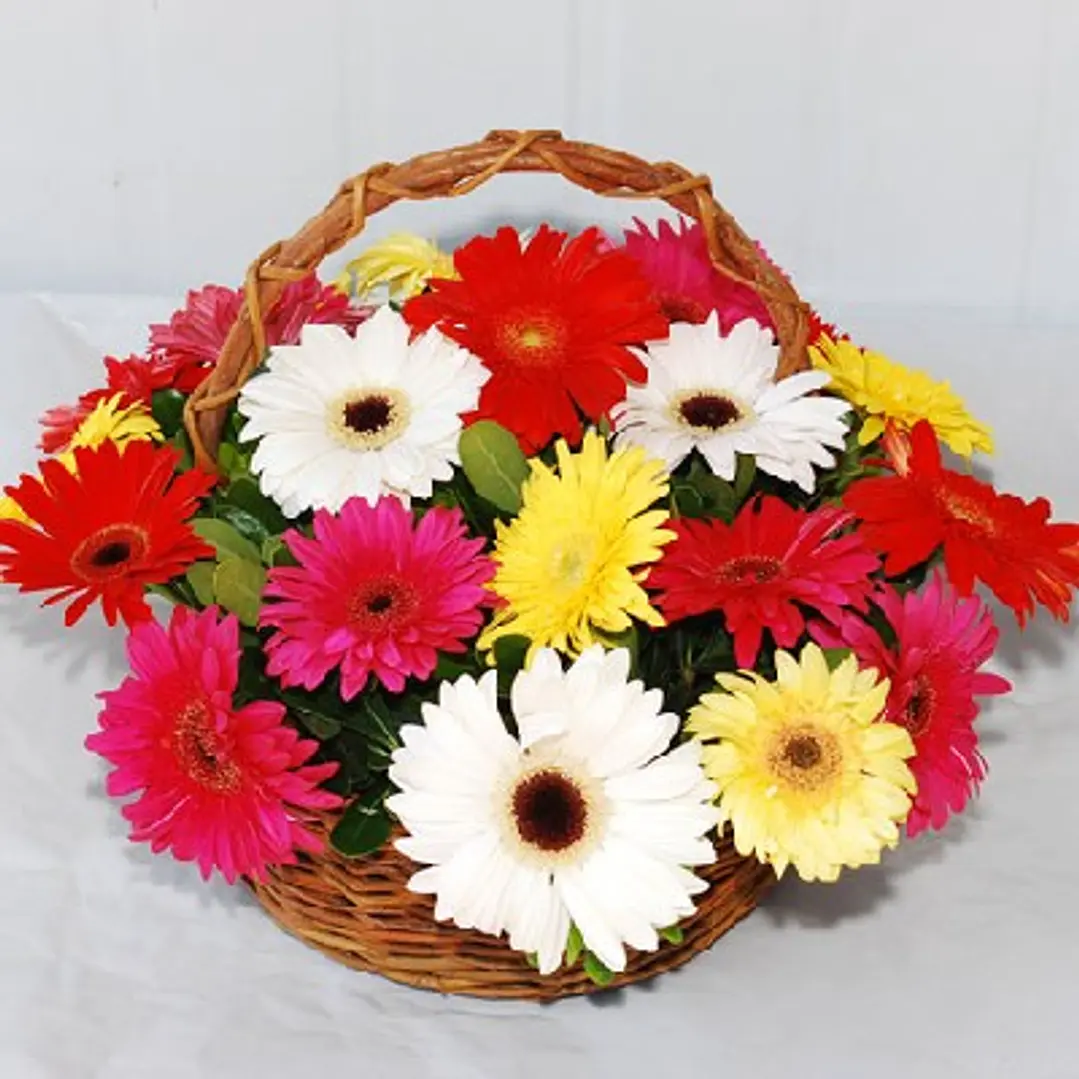 Canastillo de gerberas multicolor 1