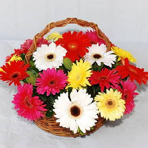 Canastillo de gerberas multicolor