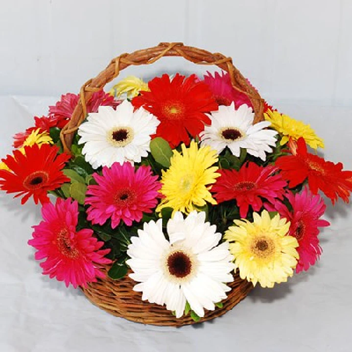 Canastillo de gerberas multicolor 1